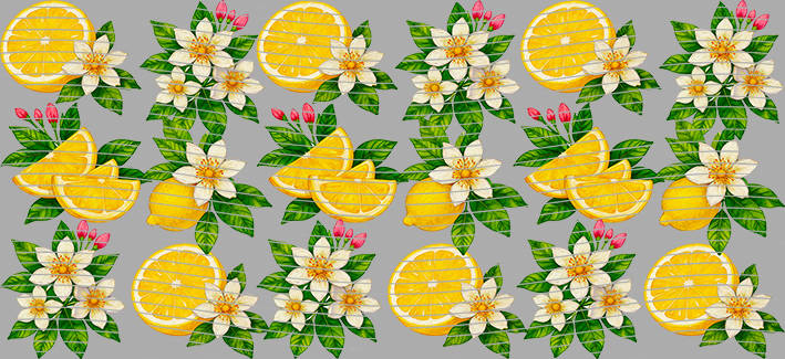 16oz delicacy-DE-349